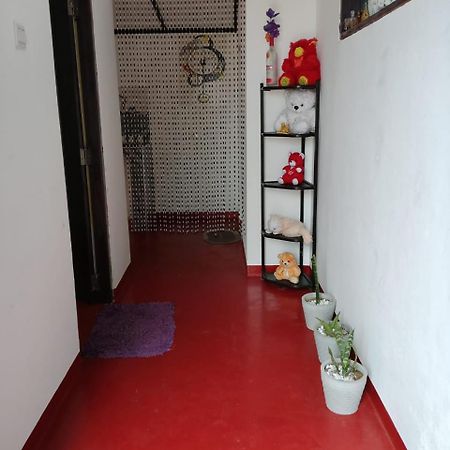 Aloka Home Stay Nuwara Eliya Zewnętrze zdjęcie
