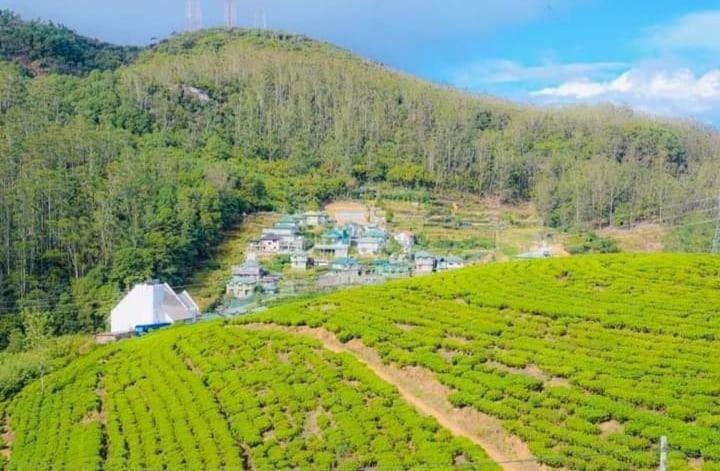 Aloka Home Stay Nuwara Eliya Zewnętrze zdjęcie